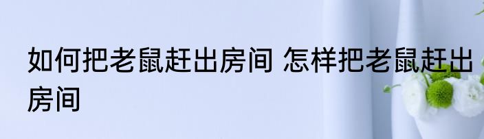 如何把老鼠赶出房间 怎样把老鼠赶出房间