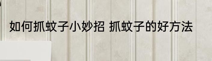 如何抓蚊子小妙招 抓蚊子的好方法