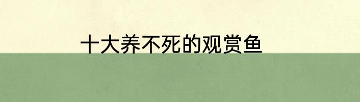十大养不死的观赏鱼