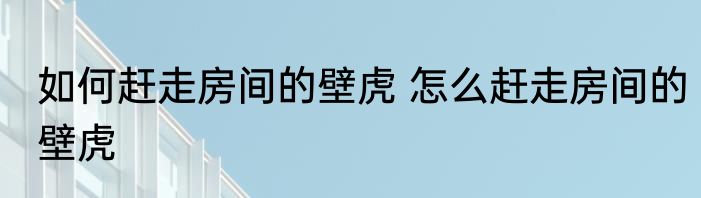 如何赶走房间的壁虎 怎么赶走房间的壁虎
