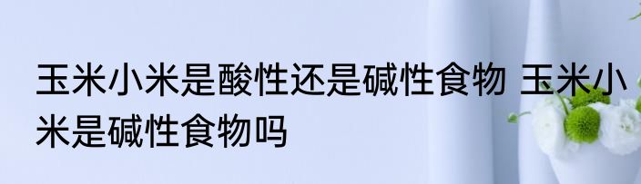 玉米小米是酸性还是碱性食物 玉米小米是碱性食物吗