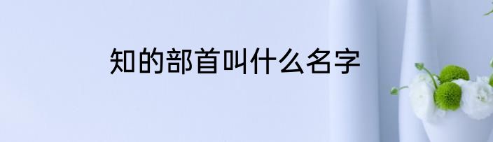 知的部首叫什么名字