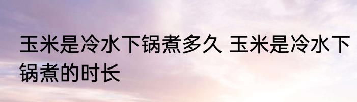 玉米是冷水下锅煮多久 玉米是冷水下锅煮的时长