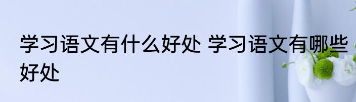 学习语文有什么好处 学习语文有哪些好处