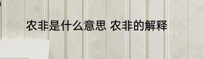农非是什么意思 农非的解释