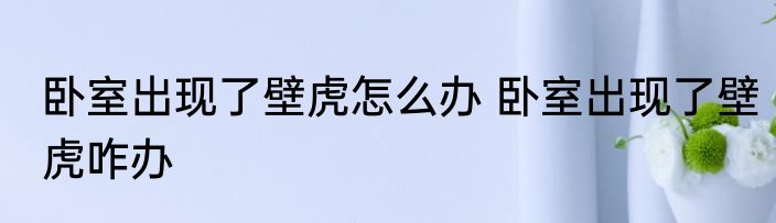 卧室出现了壁虎怎么办 卧室出现了壁虎咋办