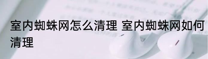室内蜘蛛网怎么清理 室内蜘蛛网如何清理