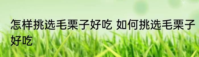 怎样挑选毛栗子好吃 如何挑选毛栗子好吃