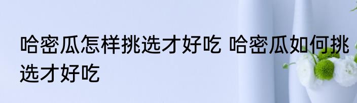 哈密瓜怎样挑选才好吃 哈密瓜如何挑选才好吃