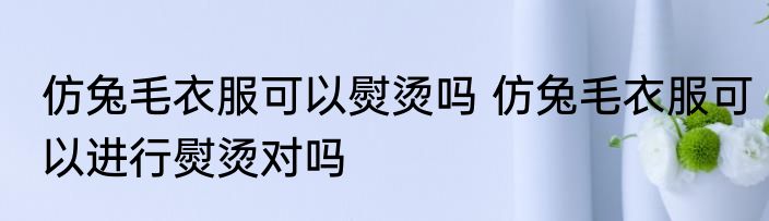 仿兔毛衣服可以熨烫吗 仿兔毛衣服可以进行熨烫对吗