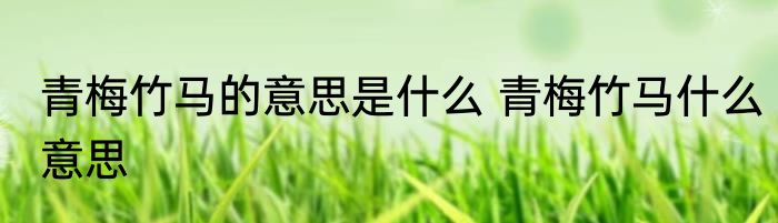 青梅竹马的意思是什么 青梅竹马什么意思