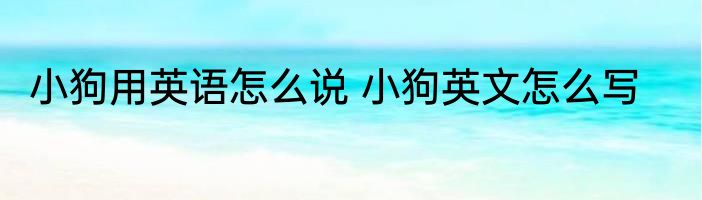 小狗用英语怎么说 小狗英文怎么写