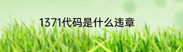1371代码是什么违章