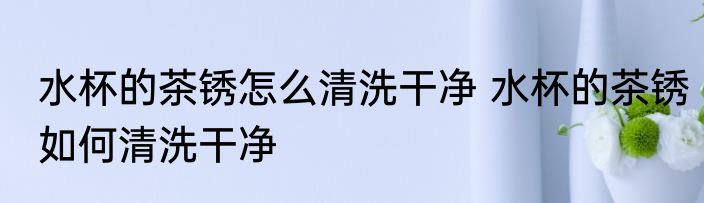 水杯的茶锈怎么清洗干净 水杯的茶锈如何清洗干净