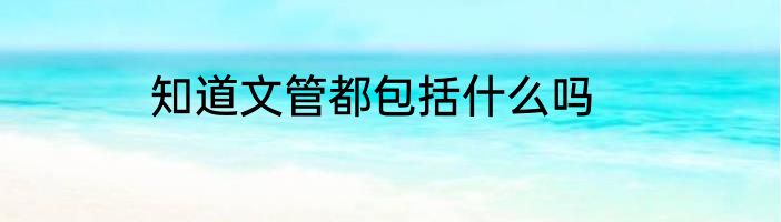 知道文管都包括什么吗