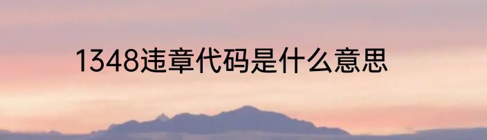 1348违章代码是什么意思