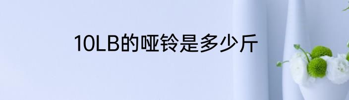 10LB的哑铃是多少斤
