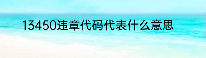 13450违章代码代表什么意思