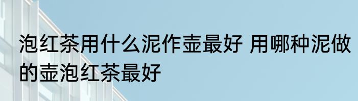 泡红茶用什么泥作壶最好 用哪种泥做的壶泡红茶最好