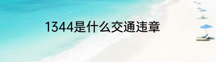 1344是什么交通违章