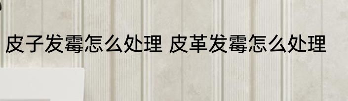 皮子发霉怎么处理 皮革发霉怎么处理
