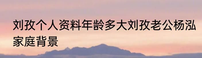 刘孜个人资料年龄多大刘孜老公杨泓家庭背景
