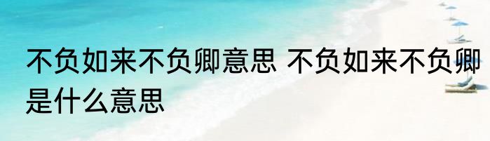 不负如来不负卿意思 不负如来不负卿是什么意思