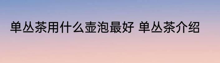 单丛茶用什么壶泡最好 单丛茶介绍