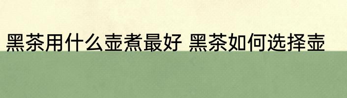 黑茶用什么壶煮最好 黑茶如何选择壶