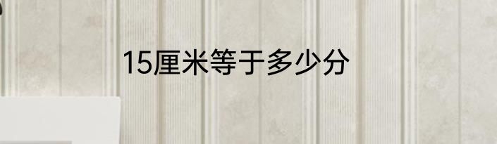15厘米等于多少分