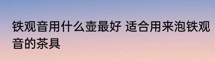 铁观音用什么壶最好 适合用来泡铁观音的茶具