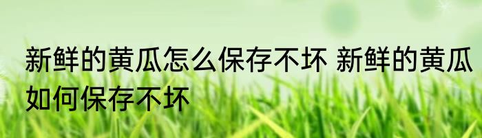 新鲜的黄瓜怎么保存不坏 新鲜的黄瓜如何保存不坏
