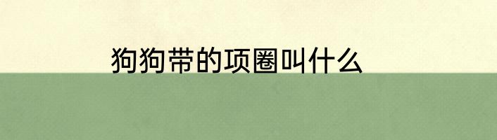 狗狗带的项圈叫什么