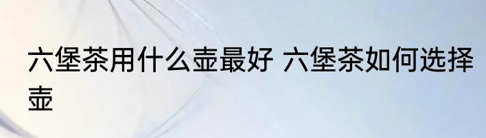 六堡茶用什么壶最好 六堡茶如何选择壶