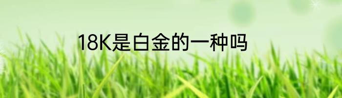 18K是白金的一种吗