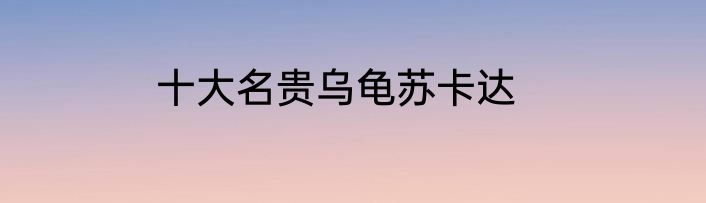 十大名贵乌龟苏卡达