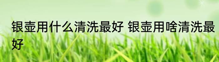 银壶用什么清洗最好 银壶用啥清洗最好