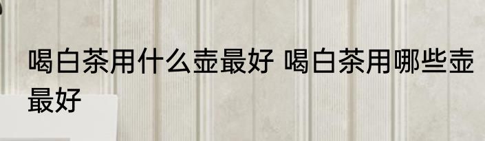 喝白茶用什么壶最好 喝白茶用哪些壶最好