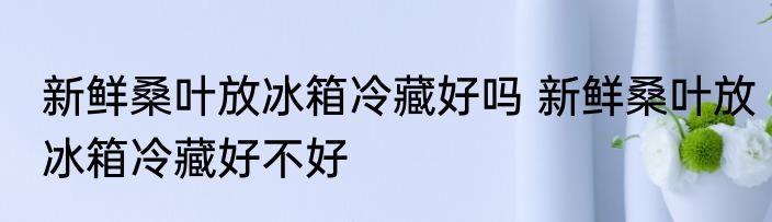 新鲜桑叶放冰箱冷藏好吗 新鲜桑叶放冰箱冷藏好不好