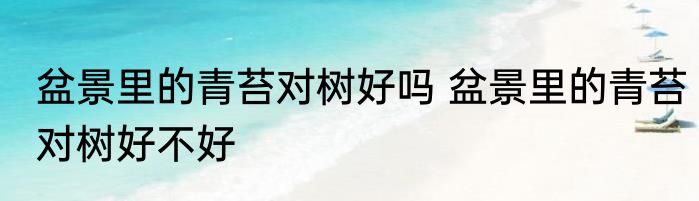 盆景里的青苔对树好吗 盆景里的青苔对树好不好