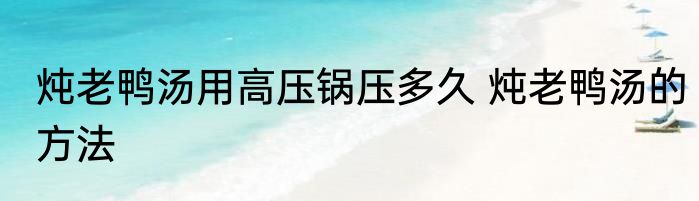 炖老鸭汤用高压锅压多久 炖老鸭汤的方法