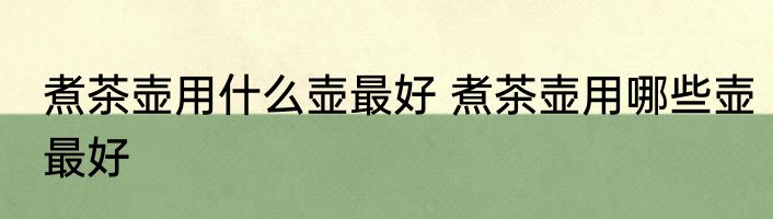 煮茶壶用什么壶最好 煮茶壶用哪些壶最好