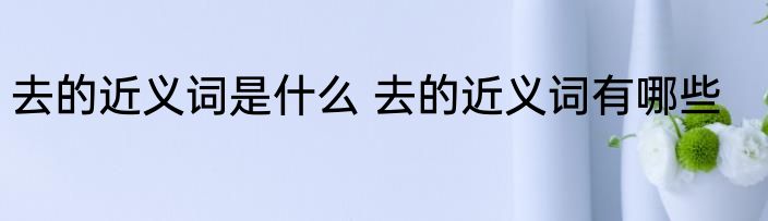 去的近义词是什么 去的近义词有哪些