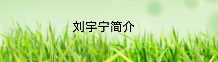 刘宇宁简介