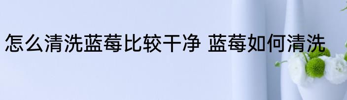 怎么清洗蓝莓比较干净 蓝莓如何清洗