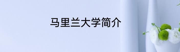 马里兰大学简介