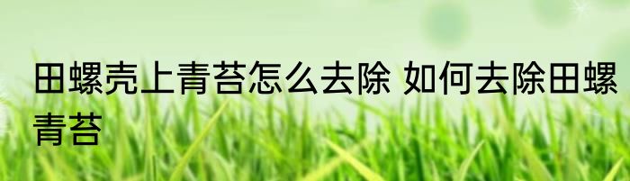田螺壳上青苔怎么去除 如何去除田螺青苔