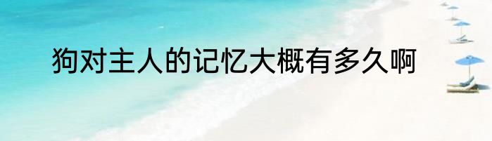 狗对主人的记忆大概有多久啊