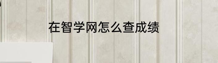 在智学网怎么查成绩