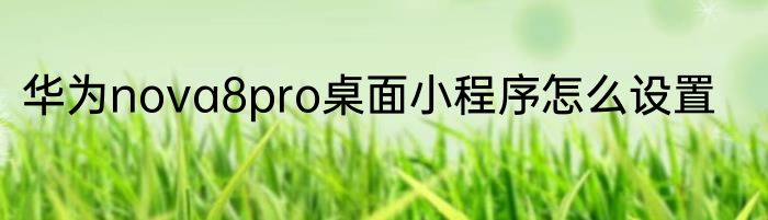 华为nova8pro桌面小程序怎么设置